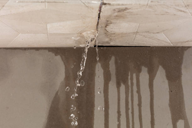 Professional Structural Drying technician working in Union City, MI